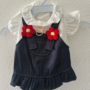 Stylish Denim Dog Dress with Red Floral Details